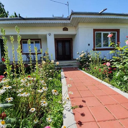 Casa Jeni Villa Humulesti Luaran gambar