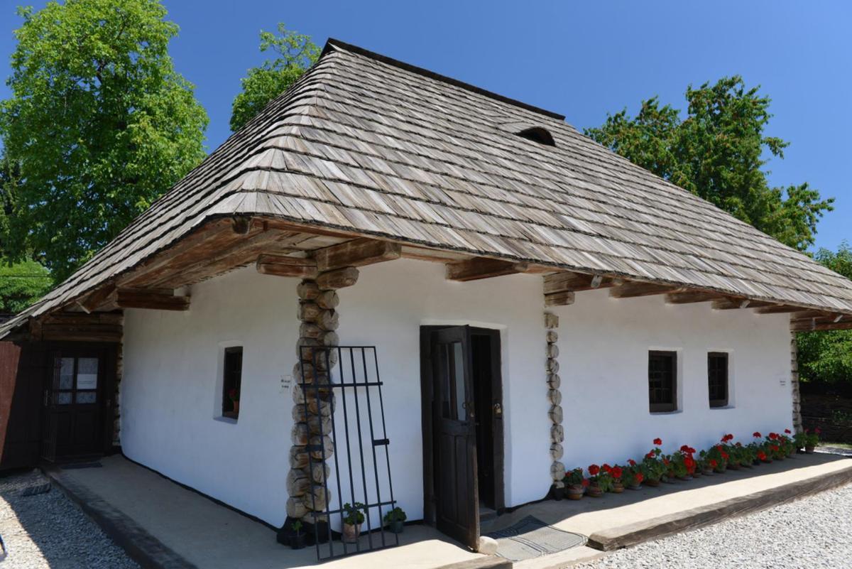 Casa Jeni Villa Humulesti Luaran gambar