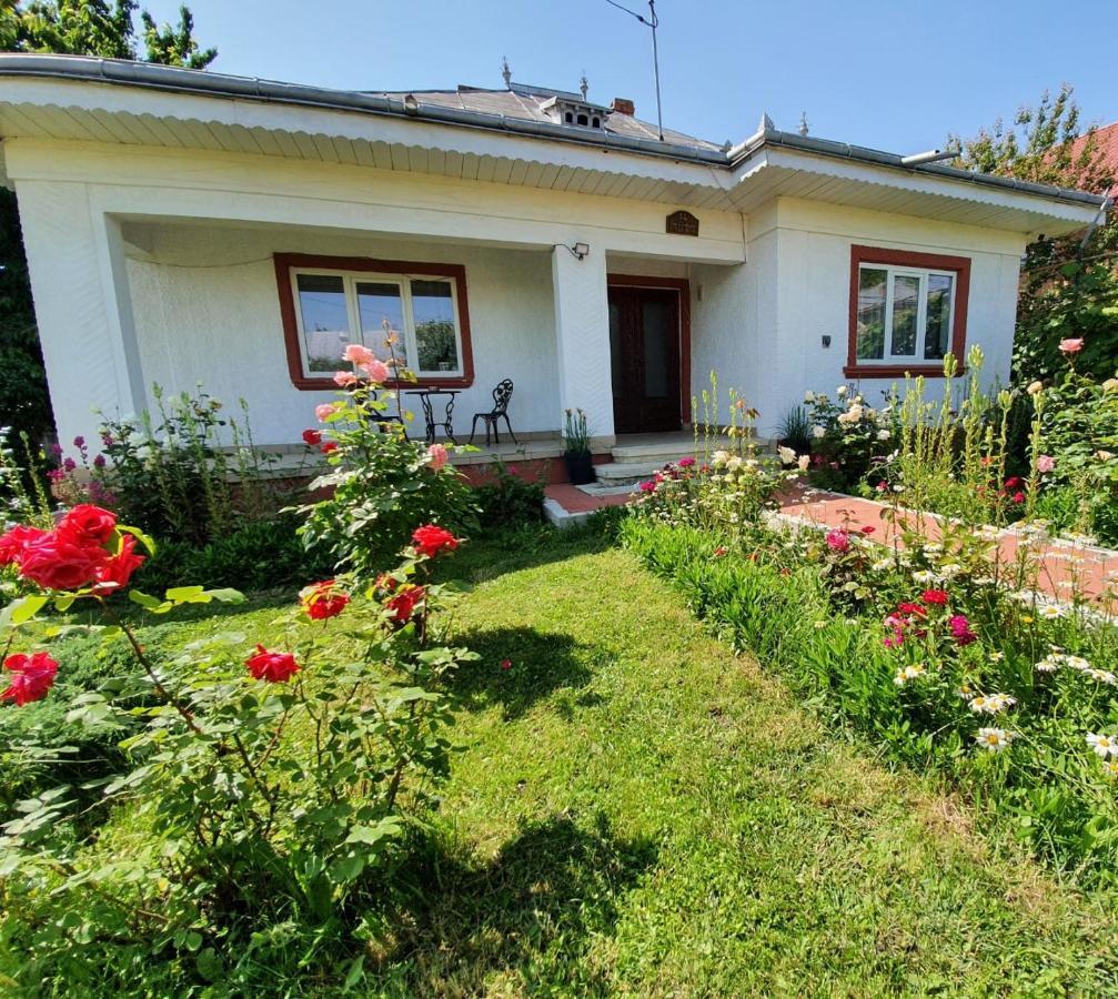 Casa Jeni Villa Humulesti Luaran gambar