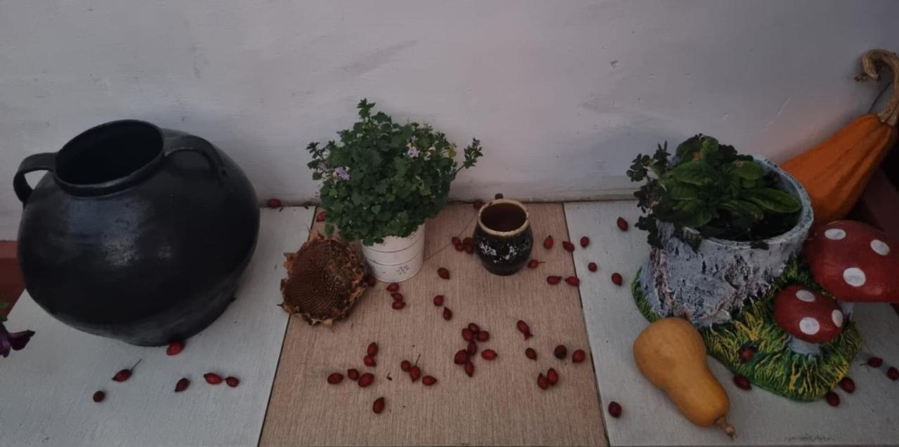 Casa Jeni Villa Humulesti Luaran gambar